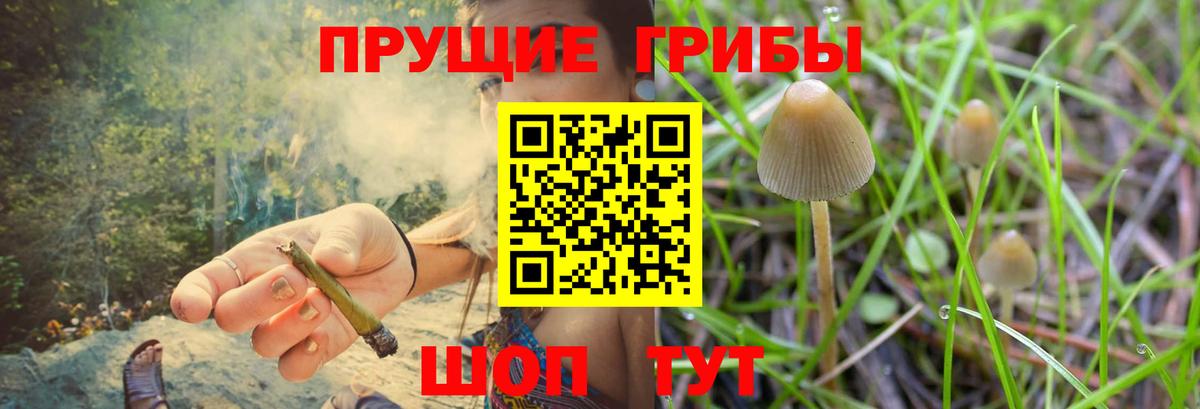 Галлюциногенные грибы MAGIC MUSHROOMS  Вход с VPN  Омск  Галлюциногенные грибы MAGIC MUSHROOMS 